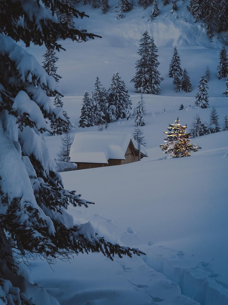 Wilderness Cabins