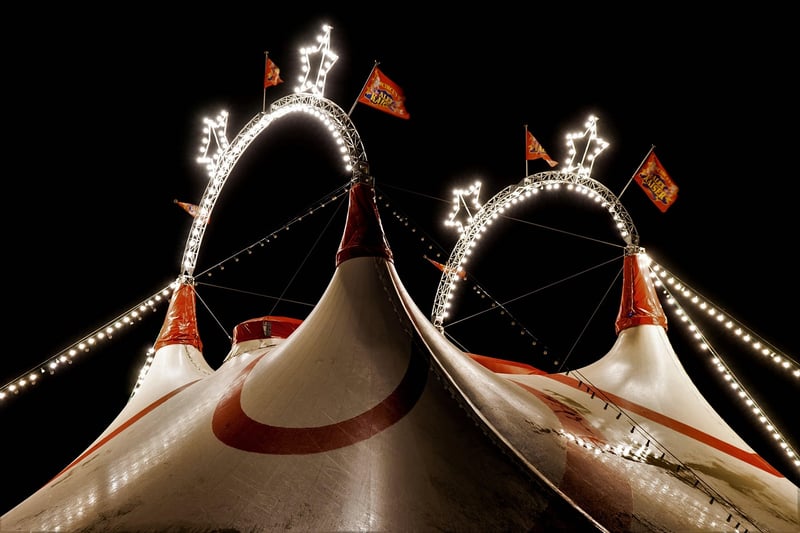 Luxury Tent 2